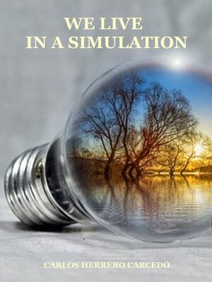 cover image of We Live In a Simulation